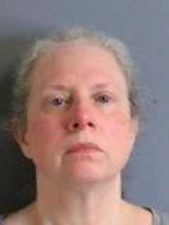 Pleasant Valley Woman Caught Stealing $42K From NYS Retirement System