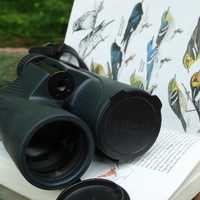 <p>The essentials of birding.</p>