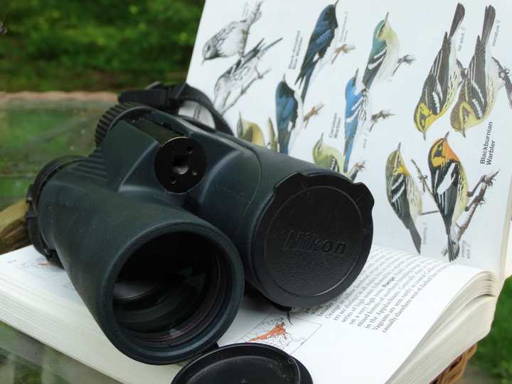 The essentials of birding.