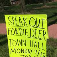 <p>The governing body introduced a resolution to permit bow hunting in the borough on Feb. 22 in an effort to address resident complaints about the growing deer population.</p>