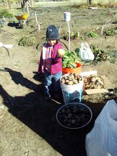 5 Bridgeport Community Gardens Can Grow, Thanks To $100K State Grant