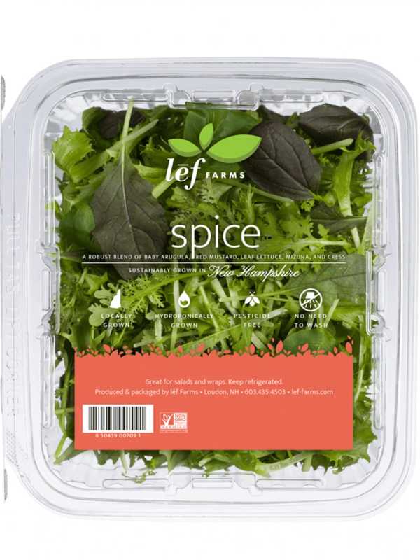 Packaged Salad Greens Recalled Because Of Possible Health Risk