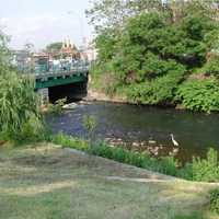 Westchester Community Foundation Announces $506,500 In Grants