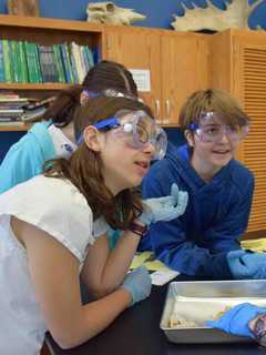 Bronxville Middle School Students Become Surgeons For A Week