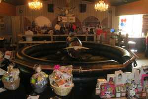 Putnam Humane Society Holds Fundraiser In Brewster