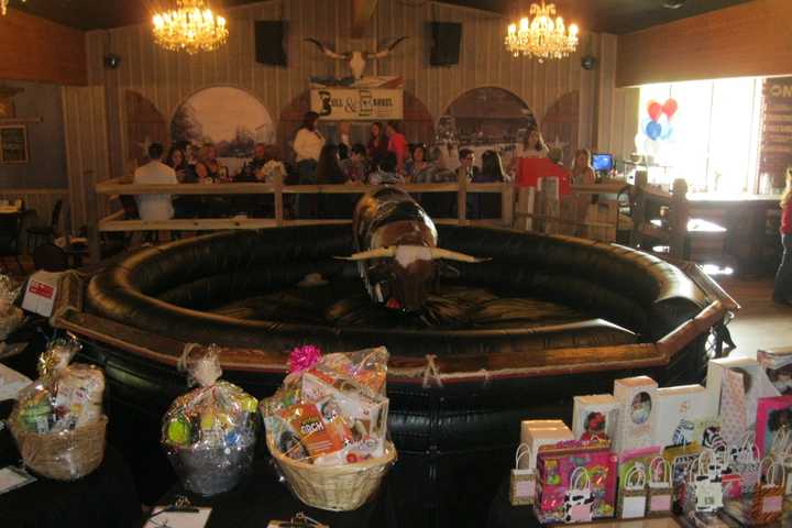 Putnam Humane Society Holds Fundraiser In Brewster