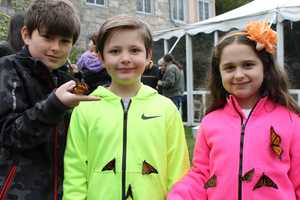 Hospice Of Westchester Releases Butterflies In Rye