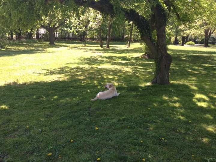 Cherry Lawn Park is a popular spot for Darien  residents.