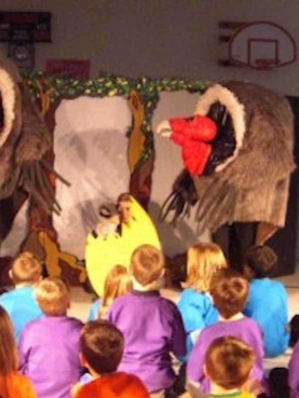 Come See 'Swimmy' At The Rutherford Library