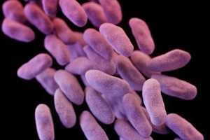 Nightmare 'Superbug' Reaches U.S. For First Time