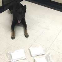 <p>K-9 Jagger from the Fairfield Police Department assisted in a drug bust on I-95 on Saturday, March 12, that turned up nearly 9 pounds of cocaine.</p>