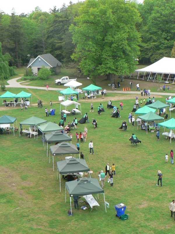 Connecticut Tree Festival Celebrates 10 Years In Norwalk