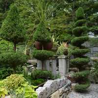 <p>Michael Trapp&#x27;s garden, which is located in West Cornwall, Conn., is among those that will be part of a bistate tour in Dutchess and Litchfield counties.</p>