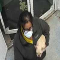 <p>Authorities have asked the public for help locating a woman wanted for questioning after a dog was stolen from a Long Island home.</p>