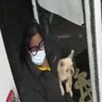 <p>Authorities have asked the public for help locating a woman wanted for questioning after a dog was stolen from a Long Island home.</p>