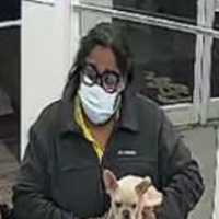 <p>Authorities have asked the public for help locating a woman wanted for questioning after a dog was stolen from a Long Island home.</p>