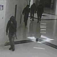 <p>Four people are at large after breaking into a Long Island school and scrawling graffiti, according to police.</p>