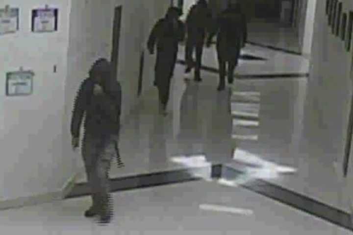 4 Wanted For Breaking Into Shirley School, Scrawling Graffiti