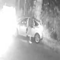 Driver Fatally Strikes Melville Man In Hit-Run Ronkonkoma Crash, Police Say
