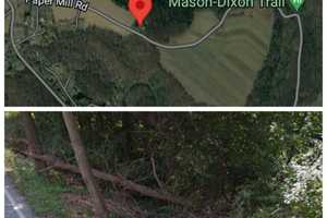 Woman Ejected During Crash Into Tree, Down Embankment In Lower Chanceford Twp.: Coroner