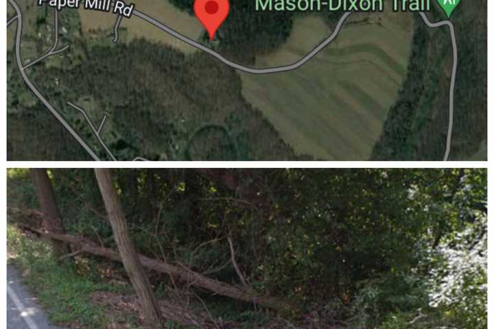 Woman Ejected During Crash Into Tree, Down Embankment Near Mason-Dixon Trail: Coroner