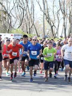 Annual Walk, Run In Greenwich Raises Funds For CancerCare