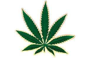 Last-Ditch State Senate Effort To Legalize Marijuana In New York Dead For Year