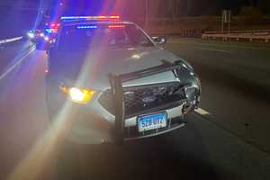 Police Cruiser Struck By Wrong-Way Driver In Region