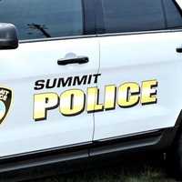 Landscaper Impaled By Tree in Summit: Authorities