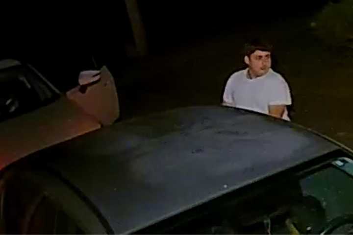 Police Search For Trio Of Springfield Car Break-In Suspects