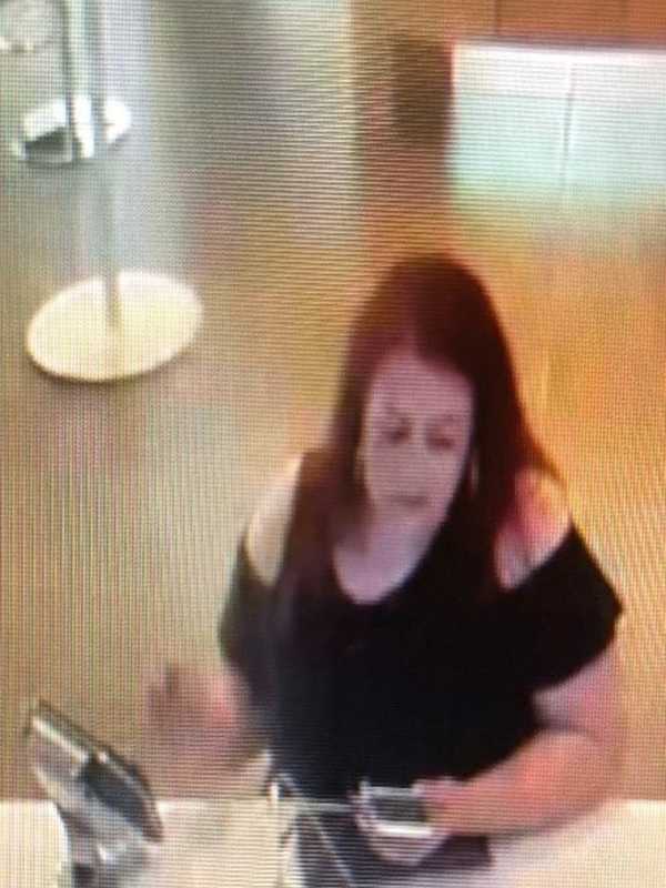 Know Her? State Police In Somers Seek Info On Grand Larceny, ID Theft Case