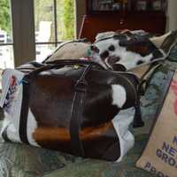 <p>Gracie Greene sells a variety of bags.</p>