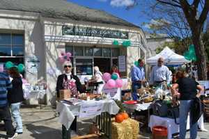 Celebrate Somers On Community Day At Towne Center