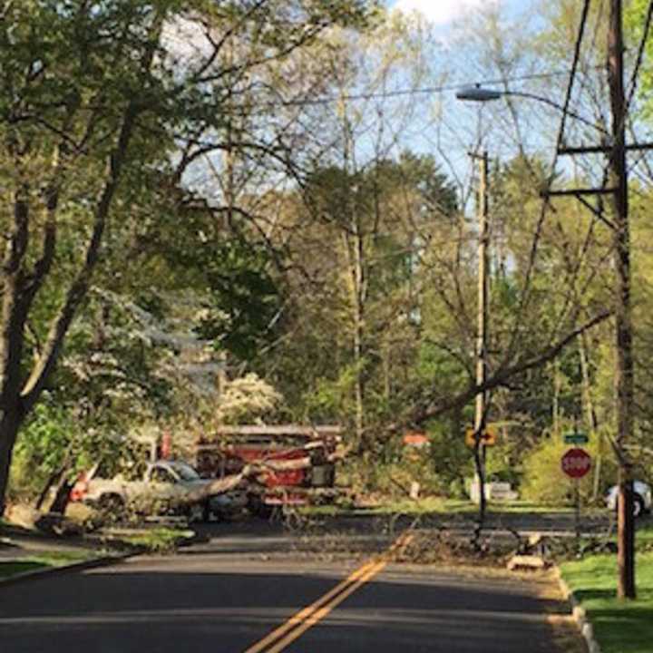 Fairfield Road in Greenwich was closed for a while on Sunday at Hillside Road due to a fallen tree and wires.