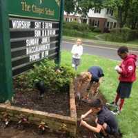 <p>Under the supervision of gardening enthusiast Lena, and the classroom teachers, each class had the opportunity to get their hands in the earth and plant flowers on the campus of the Chapel School.</p>