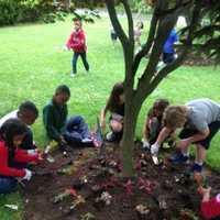 <p>tStudents in kindergarten through grade 8 participated in this beautification project organized by the Chapel School’s Service Learning Committee.</p>