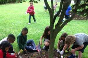 Chapel School Students Help 'Beautify the Block' In Bronxville