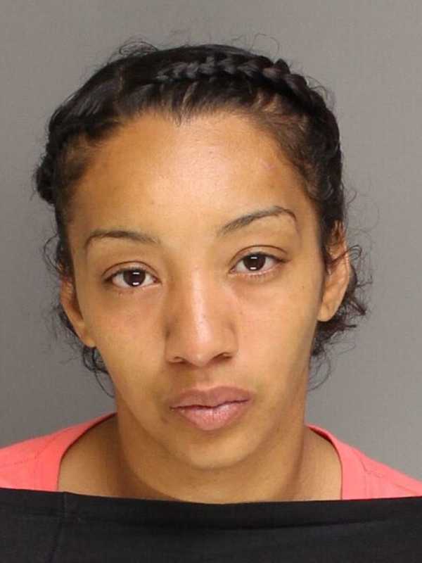 Bridgeport Woman Charged With Abusing, Starving Pit Bull