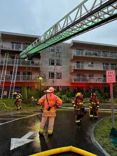 Man, Dog Rescued From Balcony In Apartment Fire In Region