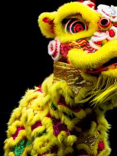 How Are You Celebrating The Chinese New Year, White Plains?