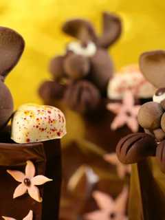 Chocolate Bunnies Anyone? Easter Spending Set To Break Record