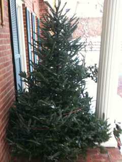 Greenburgh Public Works Picks Up Christmas Trees