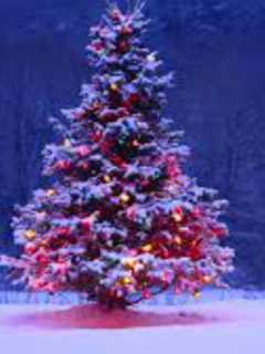 Demarest Christmas Tree Lighting To Be Held Dec. 8