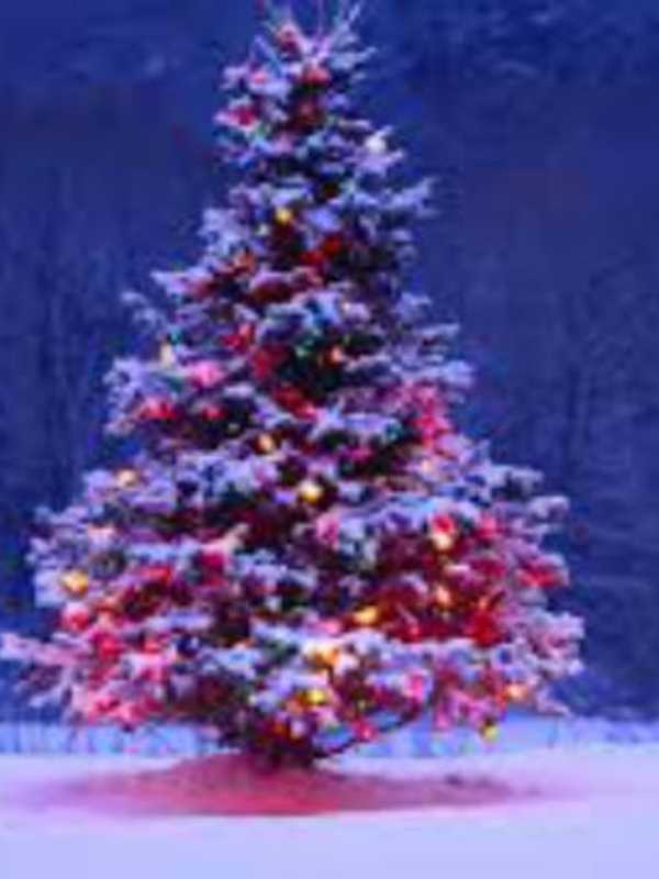 Demarest Christmas Tree Lighting To Be Held Dec. 8
