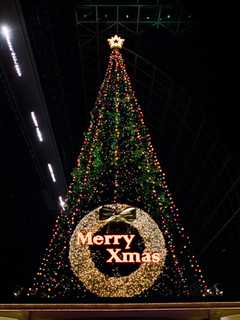 Listen To Choir, See Santa, Drink Hot Cocoa At Scarsdale's Tree Lighting