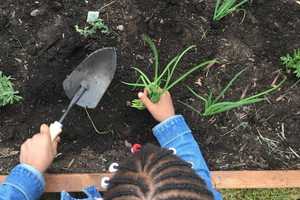 Grants Help Gardens Sprout In Ringwood, West Milford