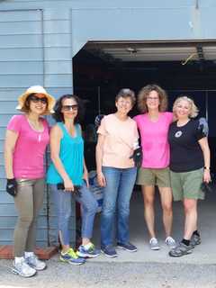 Community Foundation Staff Help Out At Humane Society In New Rochelle