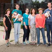 TV Celebrity Clinton Kelly Matches Donations To Harrison's Pet Rescue