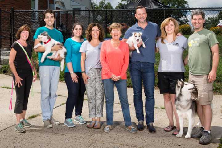 TV Celebrity Clinton Kelly Matches Donations To Harrison's Pet Rescue