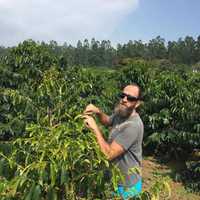 <p>Mike Love of Coffee Lab Roasters in Tarrytown visits a coffee farm in Hawaii, one of the sustainable operations he uses to source product for his brews.</p>